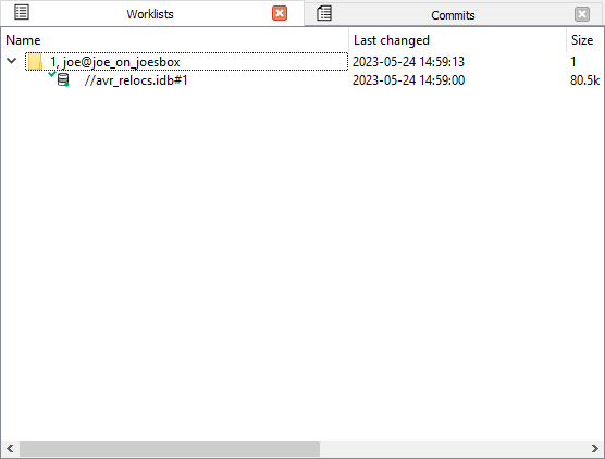 File checked out for modification